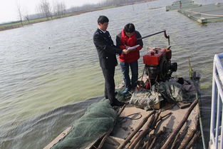 固鎮(zhèn)縣畜牧獸醫(yī)水產(chǎn)局開(kāi)展冬季安全生產(chǎn)檢查 筑牢畜牧漁業(yè)飼料銷(xiāo)售安全防線