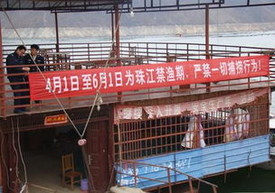 縣畜牧局多措并舉 強(qiáng)化禁漁期畜牧漁業(yè)飼料銷(xiāo)售管理