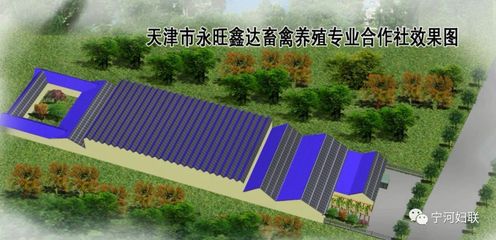 巾幗風采 | 天津市巾幗現代農業科技示范基地--天津市永旺鑫達畜禽養殖專業合作社